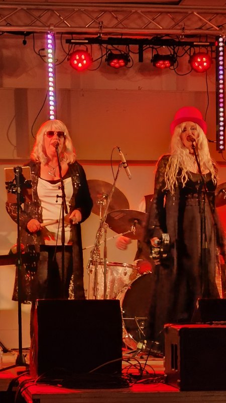 Fleetwood Nicks and Practically Petty